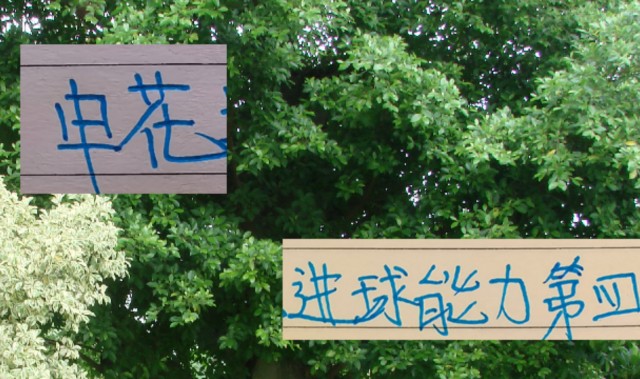 申花进球能力中超第四 但外援没一个进射手前10 真是内援带外援踢