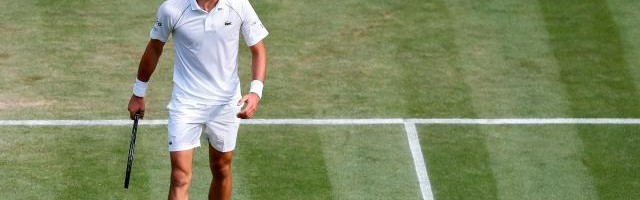 游戏模拟器-德约闯温网16强再创纪录 躲过盘点赛后自比“战狼”